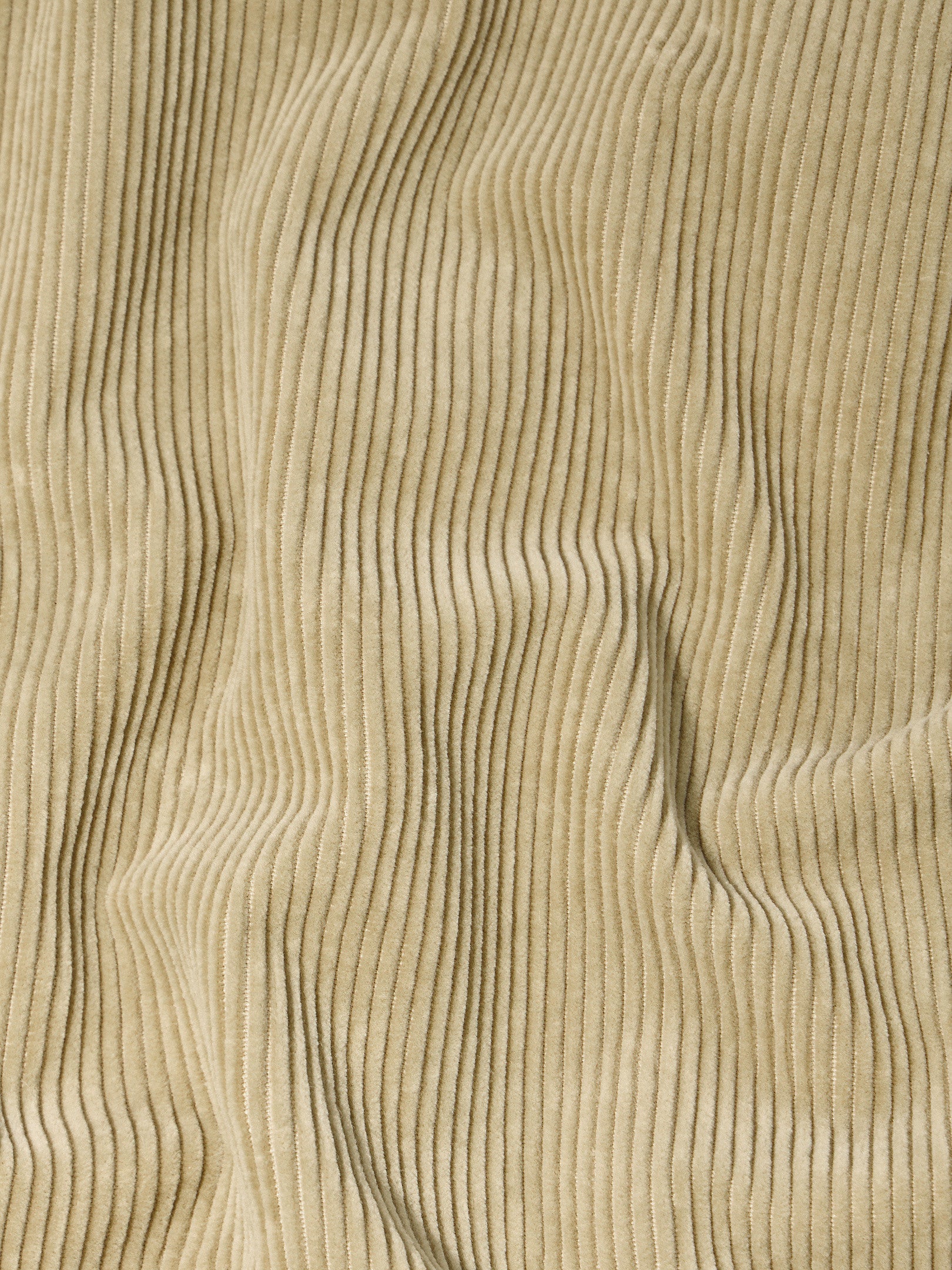 11604 ORGANIC COTTON CORDUROY 800