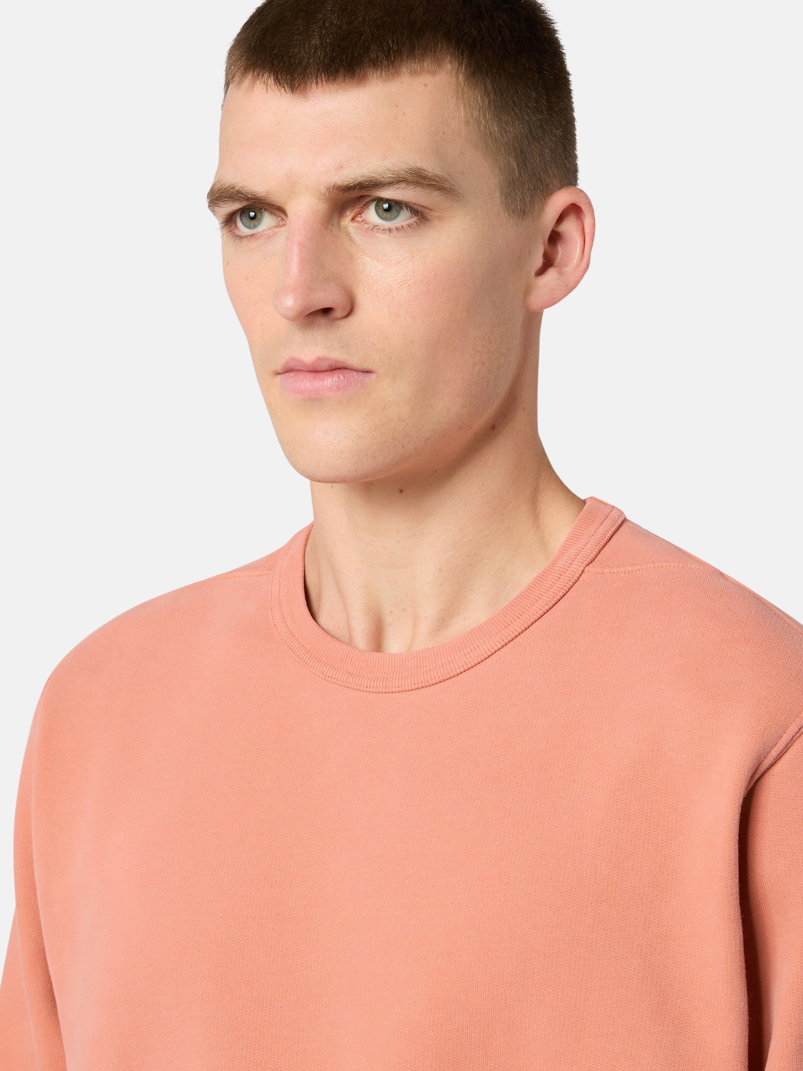 62420 BRUSHED ORGANIC COTTON FLEECE