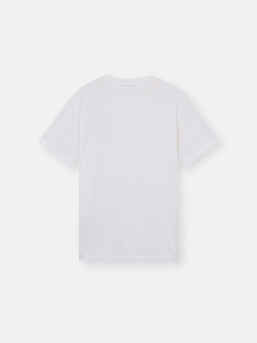 24113 60/2 COTTON JERSEY
