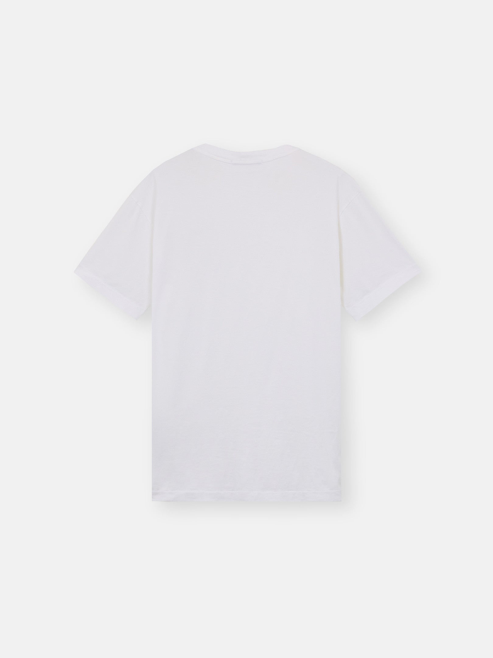 24113 60/2 COTTON JERSEY