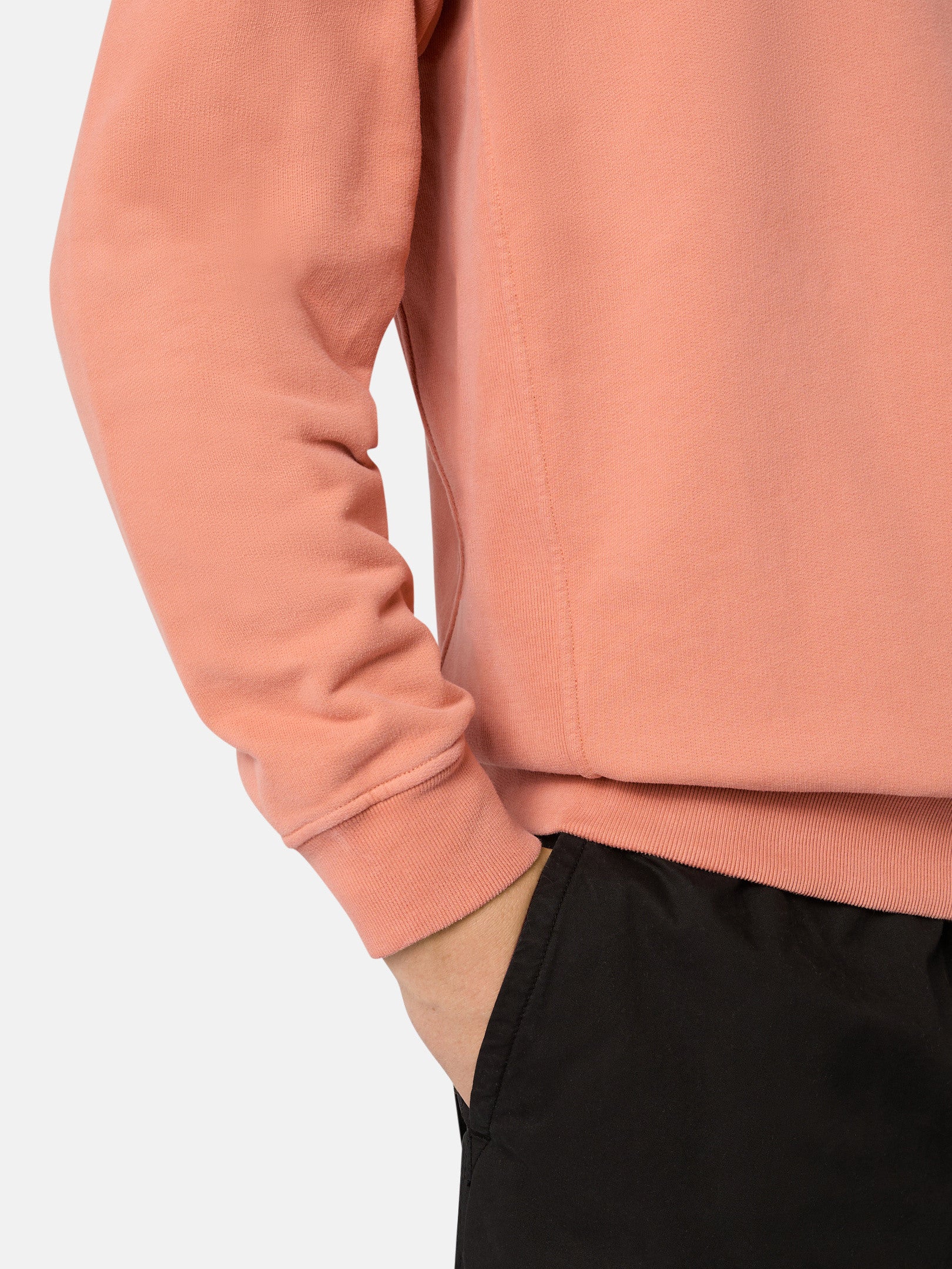 62420 BRUSHED ORGANIC COTTON FLEECE