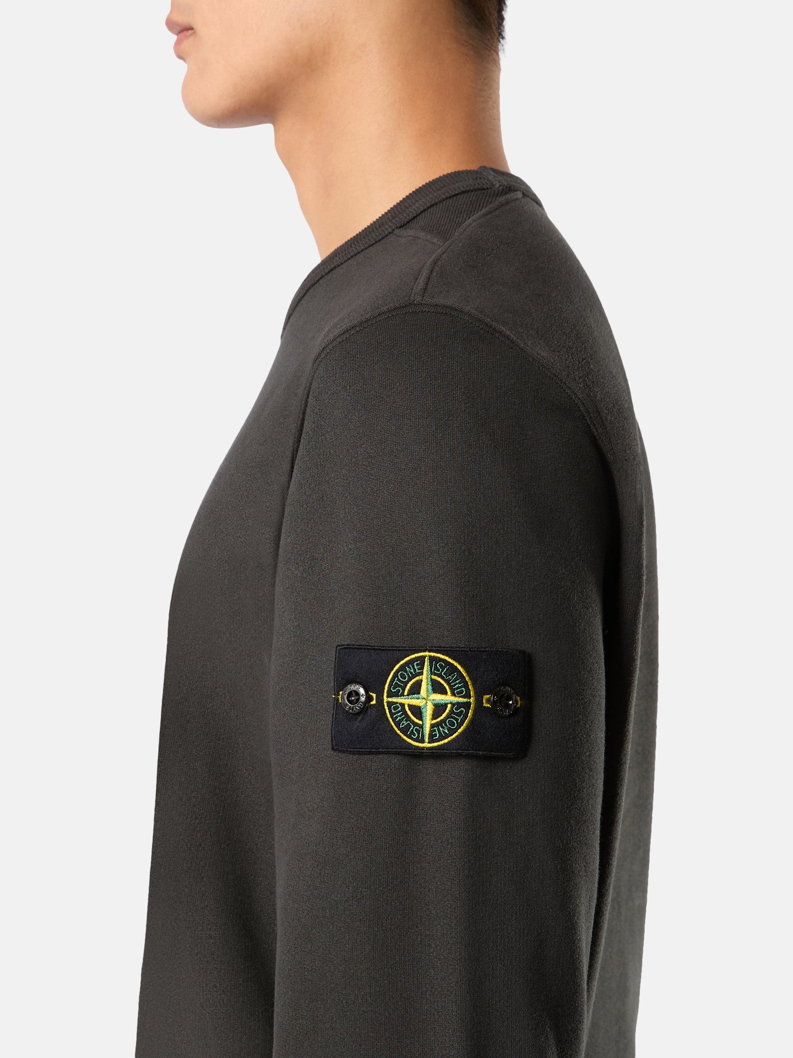 62420 BRUSHED ORGANIC COTTON FLEECE