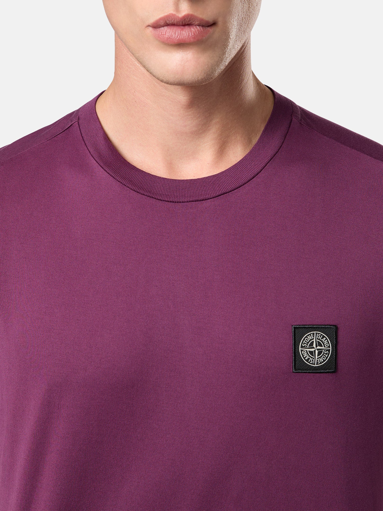 24113 60/2 COTTON JERSEY